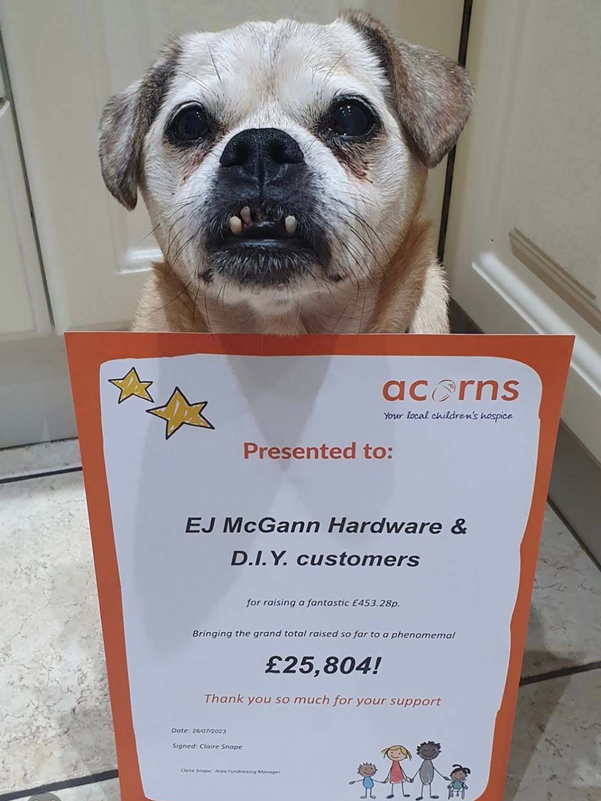 Shop Mascot Rambo the dog with a certificate