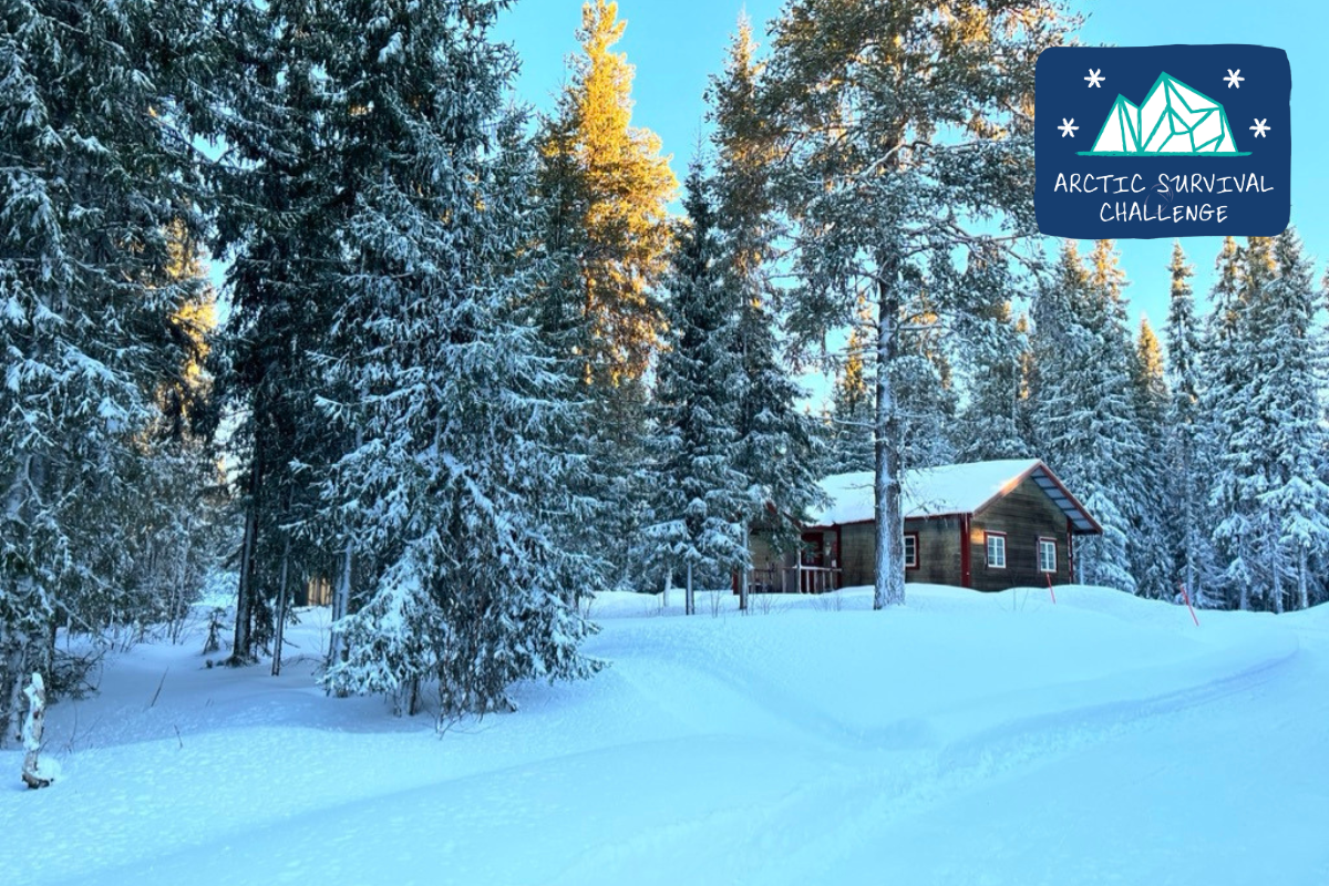 A snowy forest with a small wooden cabin the the back.