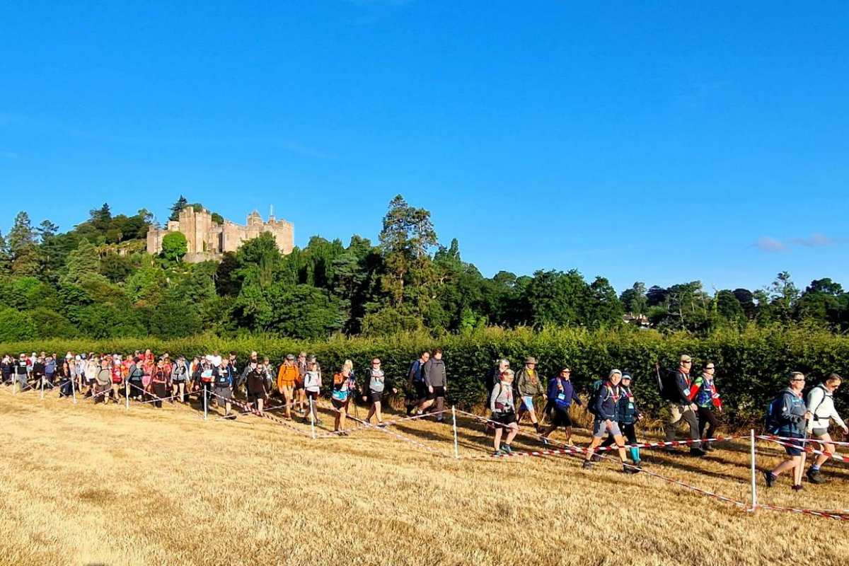 A large number of people walking across a wheat field on a sunny day.
